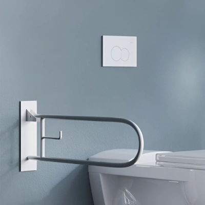 Accessories (For Disable-friendly Bathroom)