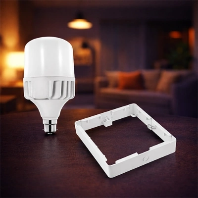 Lamp & Accessories